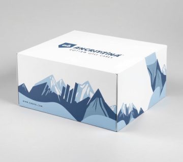 از طراحی تا تولید چاپ جعبه